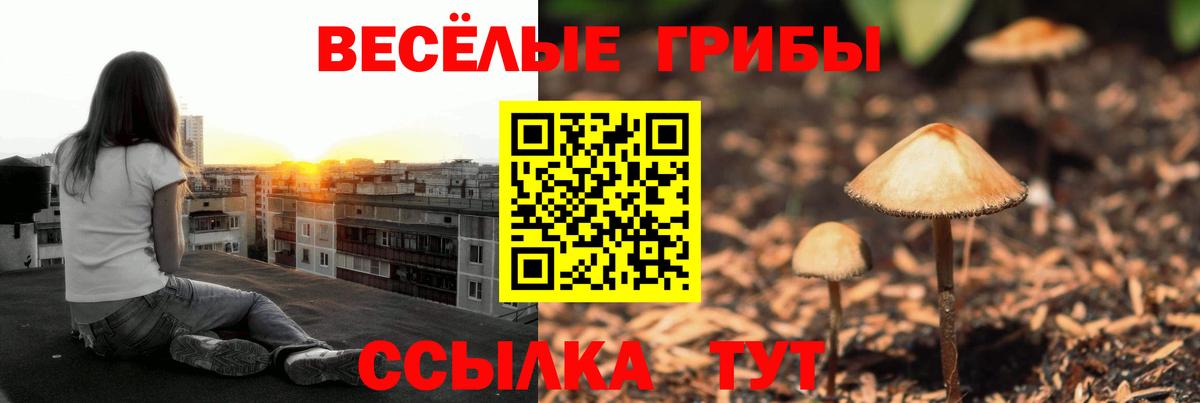 Галлюциногенные грибы мухоморы Реутов
